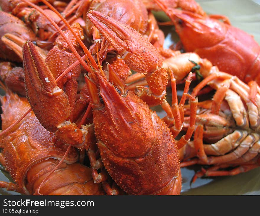 Crawfish on a transparent plate with raised claws. Crawfish on a transparent plate with raised claws