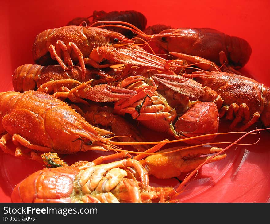 Boiled crawfish dish in red in the sun. Boiled crawfish dish in red in the sun