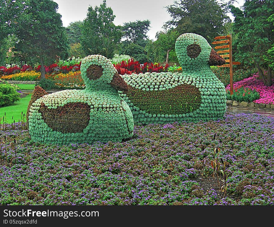 Ducks made of flowers in Jesperhus botanic garden in Jutland, Denmark