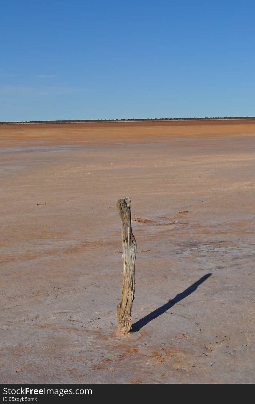 Old fence post on a salt lake