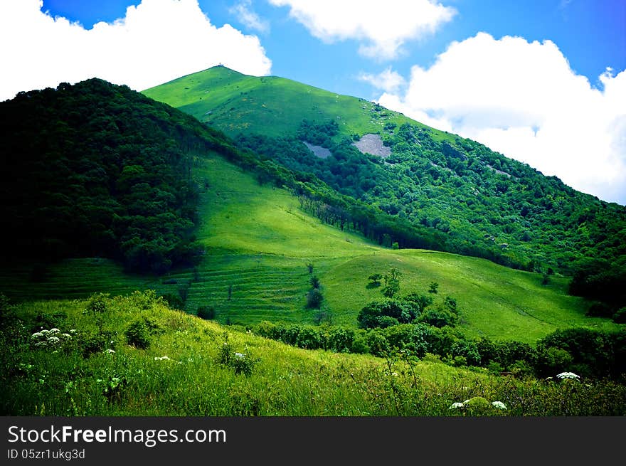 Beauty Green Hills Over Meadows at Sunny Day Outdoors