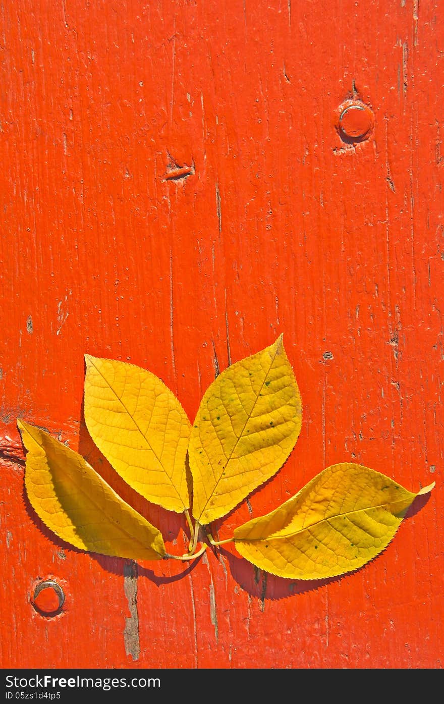 Yellow fallen autumn leaves on a red wooden table. Yellow fallen autumn leaves on a red wooden table