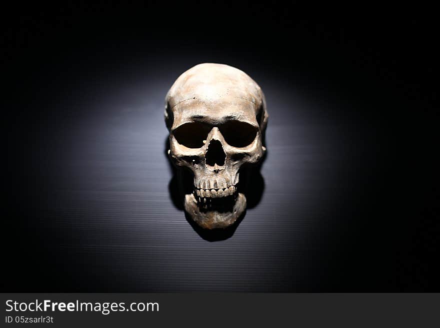 Real Skull in black table background