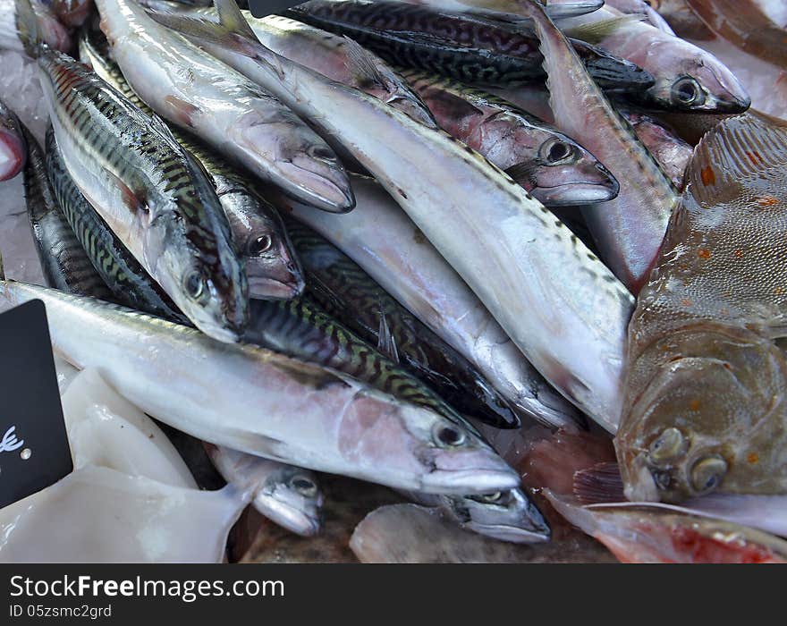 Mackerel on ice on display in a fish shop