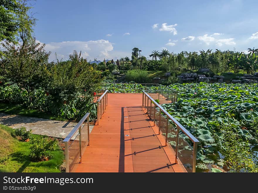 Wooden scenic path by the lotus pond in garden. Wooden scenic path by the lotus pond in garden