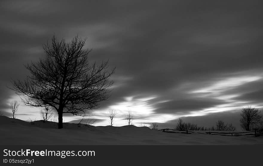 Winter Landscape