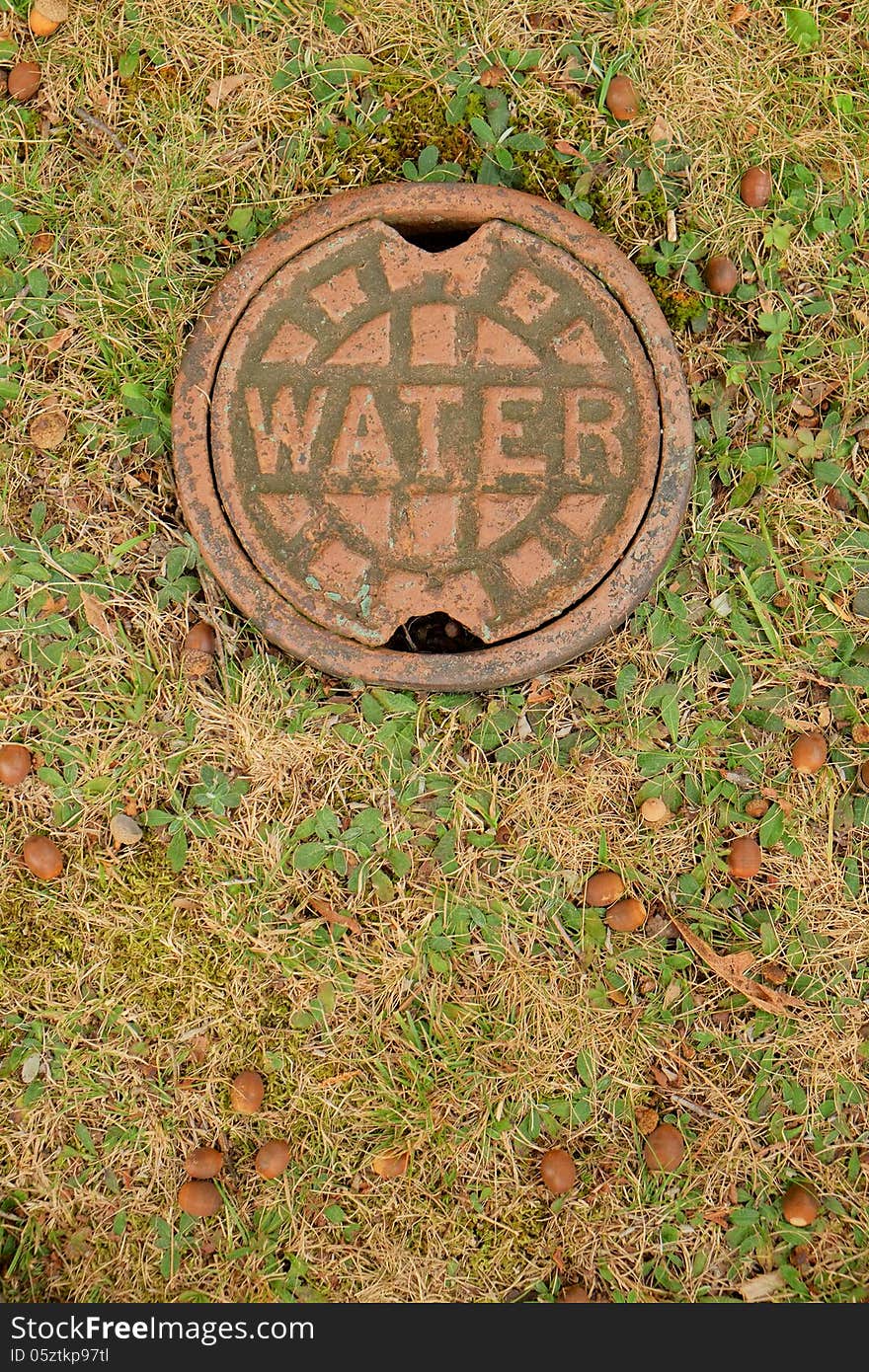 Type of cap used for wells, water and sewage lines. Shown in grass naturally decorated with fallen acorns. Type of cap used for wells, water and sewage lines. Shown in grass naturally decorated with fallen acorns.