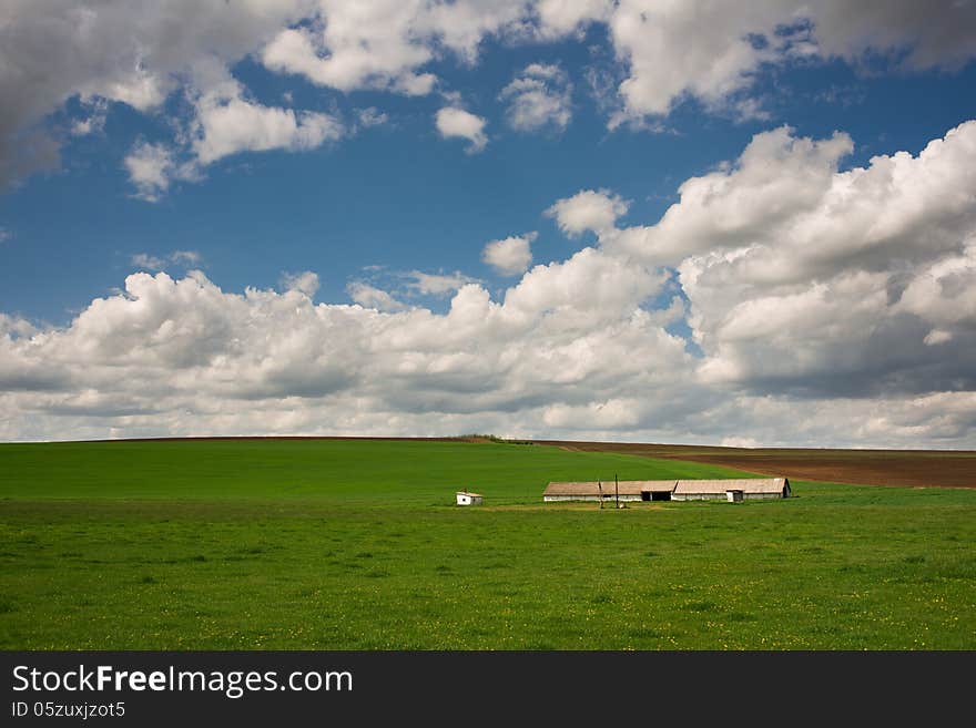 Farm in green field and blue cloudy sky. Farm in green field and blue cloudy sky