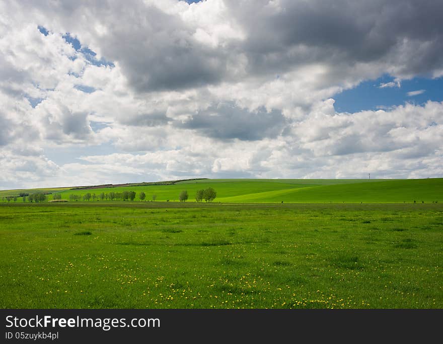 Green field and blue cloudy sky