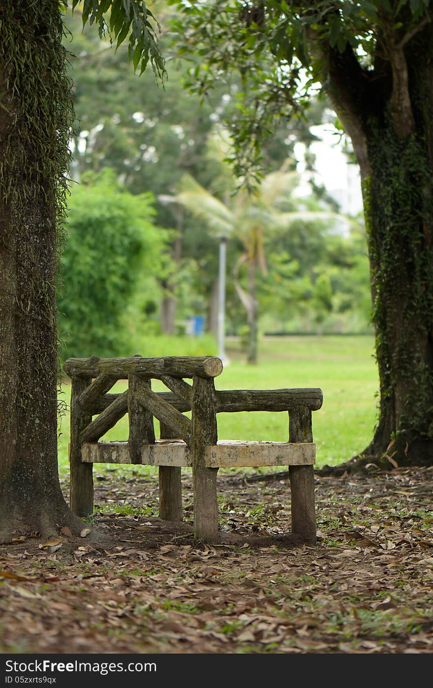 Bench under the tree