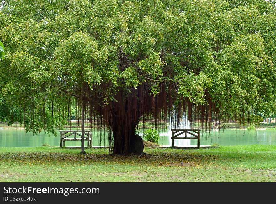 Two bench in the park.