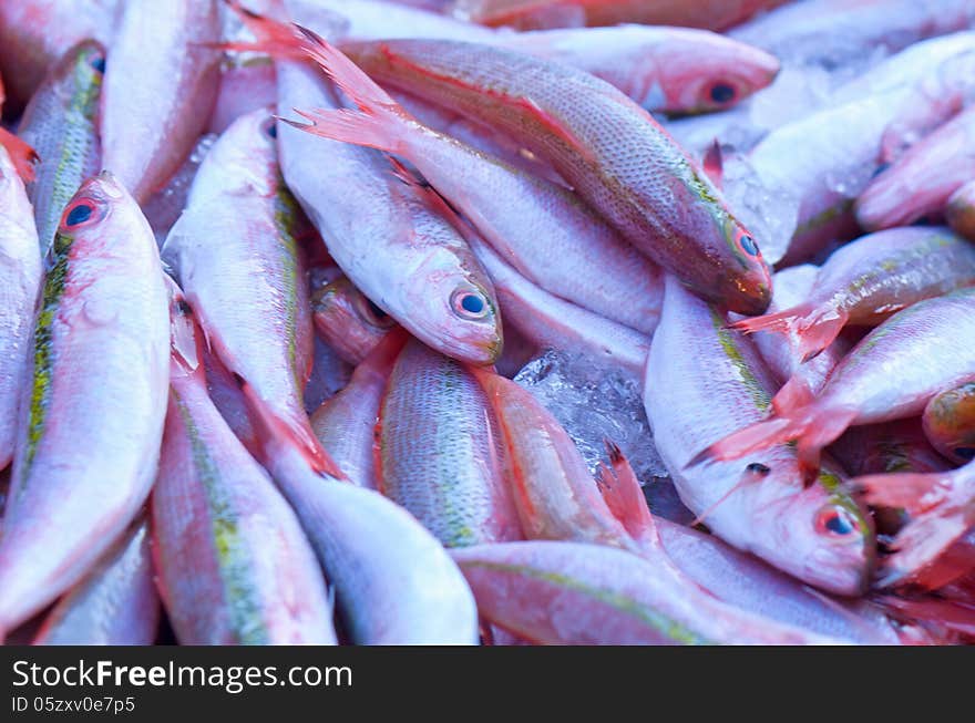 Fresh Tropical Fish In The Market