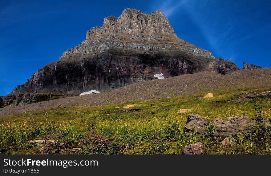 This image of Mt Clements with the yellow wildflowers in the foreground was taken in Glacier National Park, Montana.