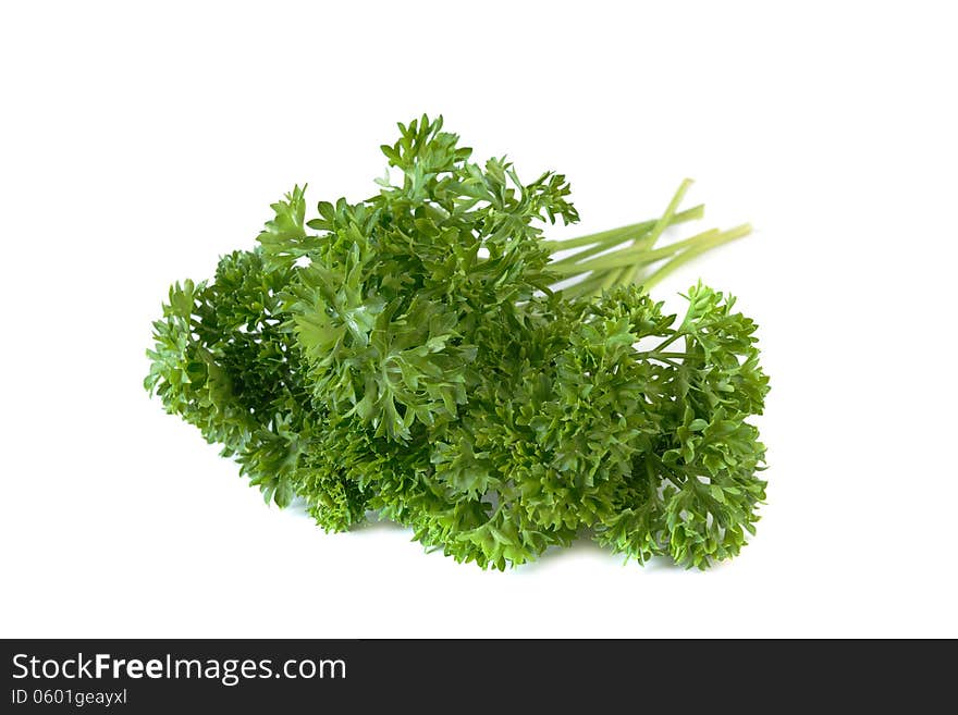 Bunch of fresh green curly parsley. Isolated on white