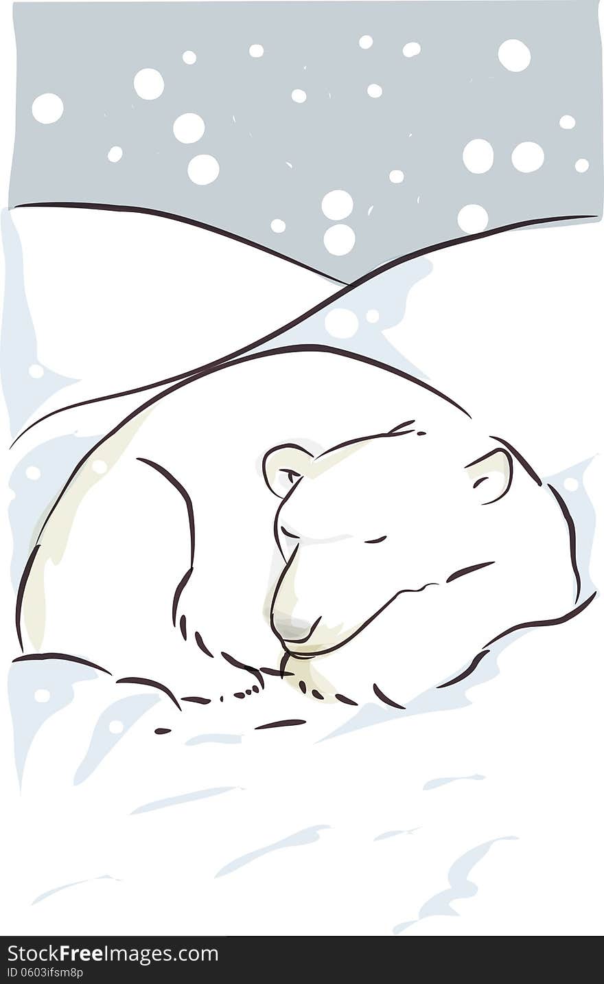 Polar bear sleeping in snow. Polar bear sleeping in snow