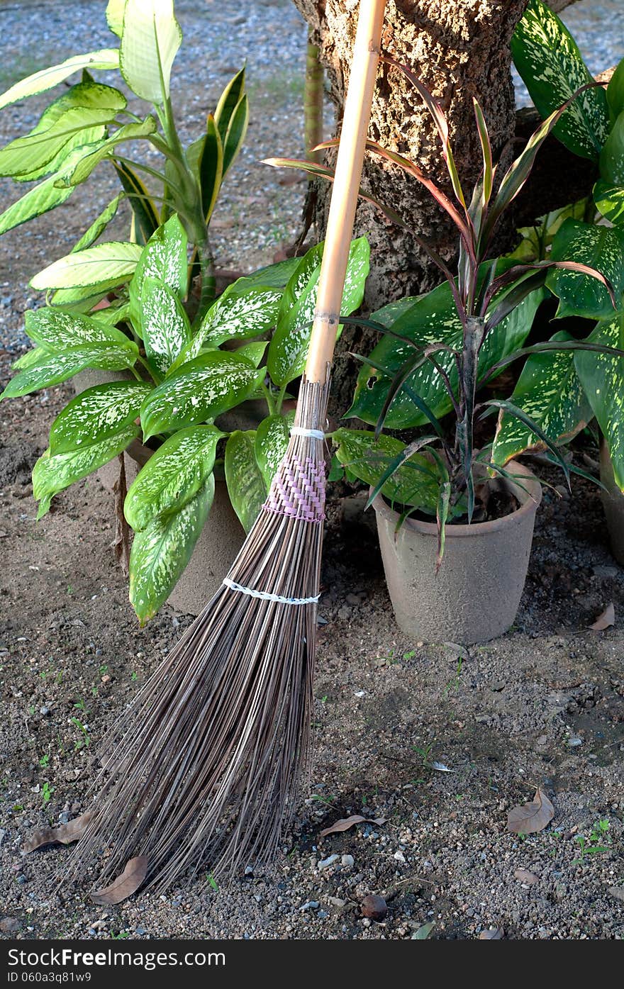 Broom grass ground in Thailand