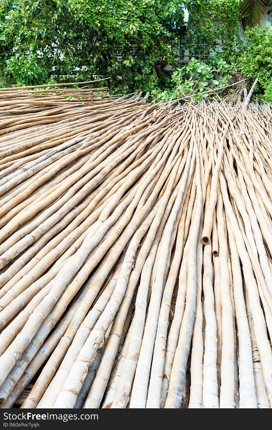 Bamboo on ground Spare Parts for Fisherman