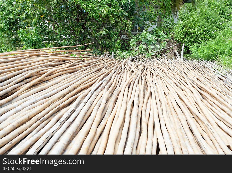 Bamboo on ground Spare Parts for Fisherman