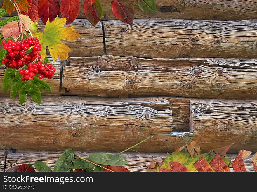 Autumn Background