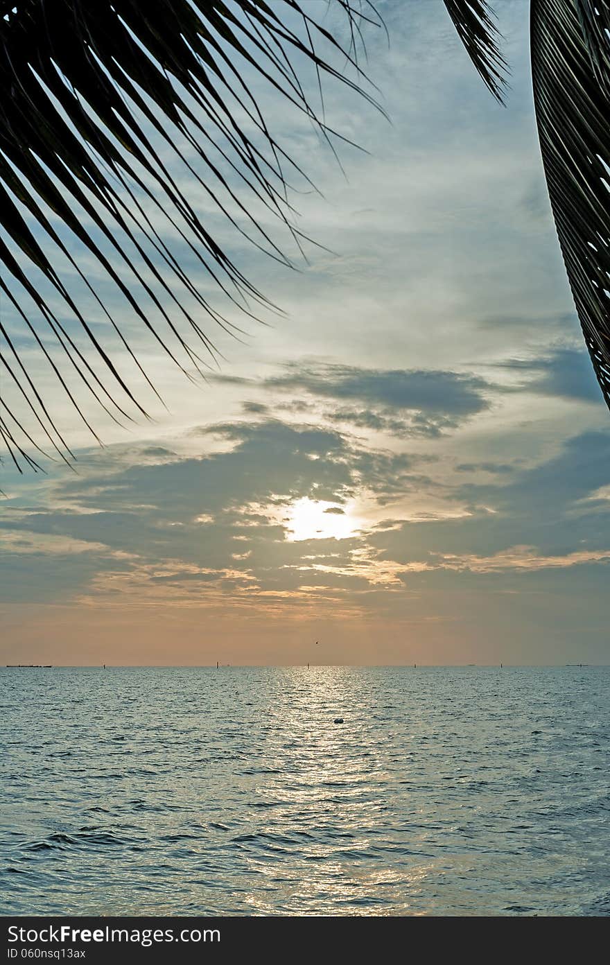 Sunrise With Coconut Leaf