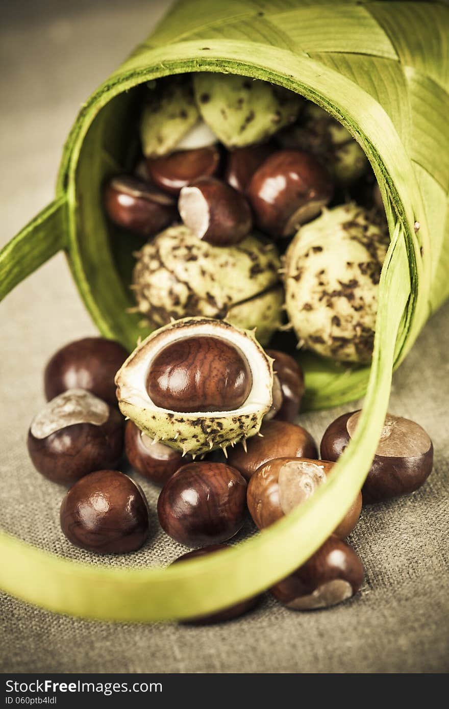 Chestnuts in green basket