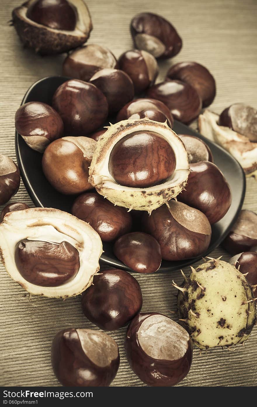 Chestnuts brown colorized picture, vintage