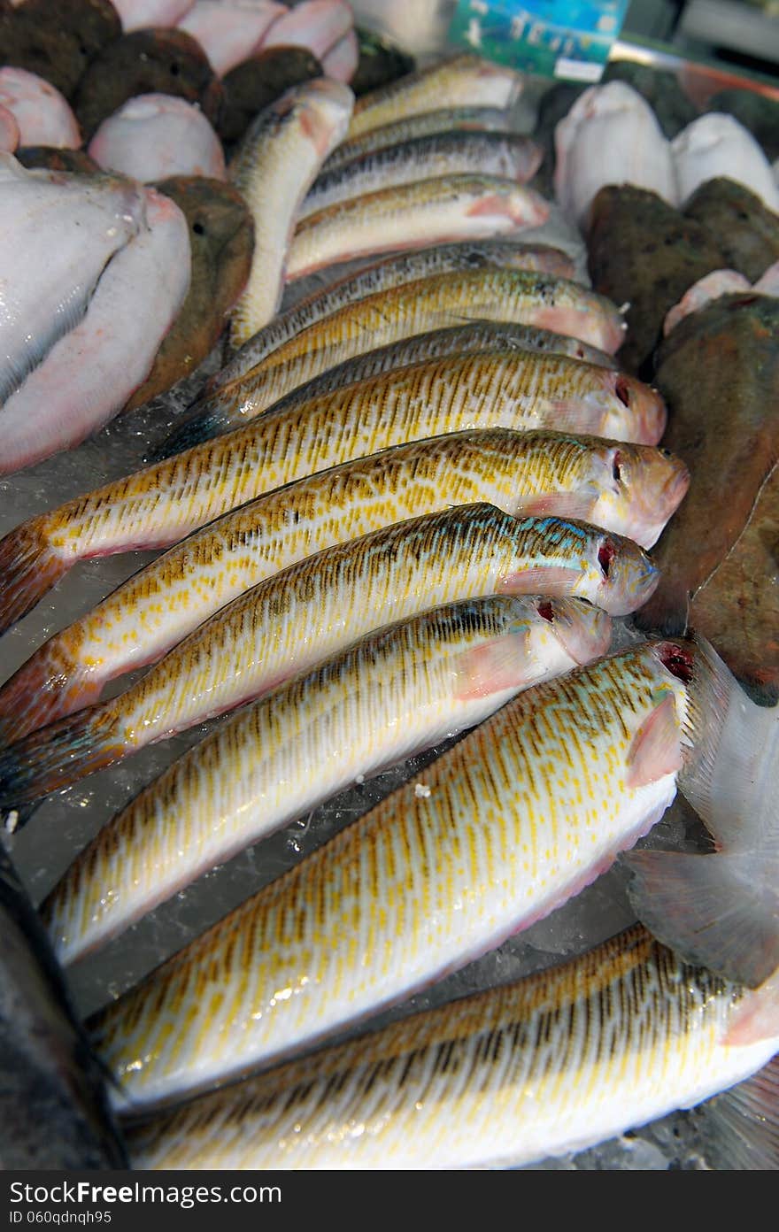 Fish on a market