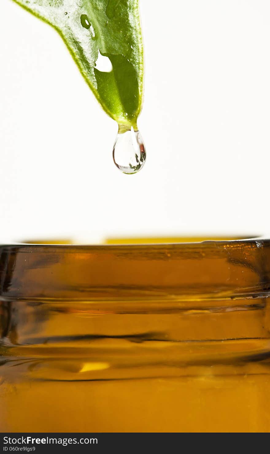 Herbal, alternative medicine, water drop falling down from a leaf to the bottle, isolated on white background with copy space. Herbal, alternative medicine, water drop falling down from a leaf to the bottle, isolated on white background with copy space