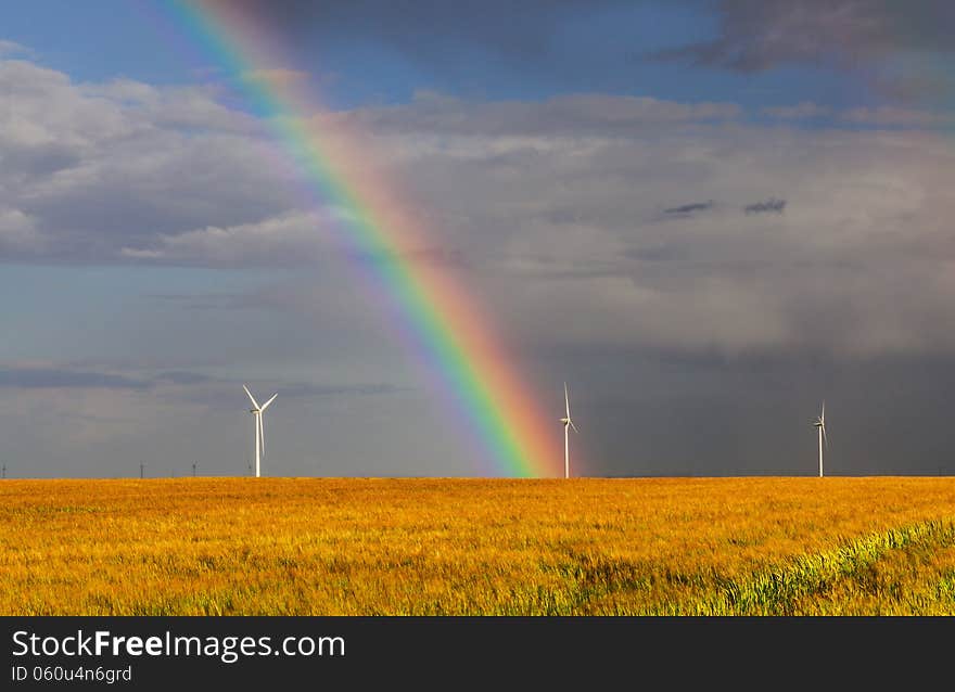 Rainbow Over the Field