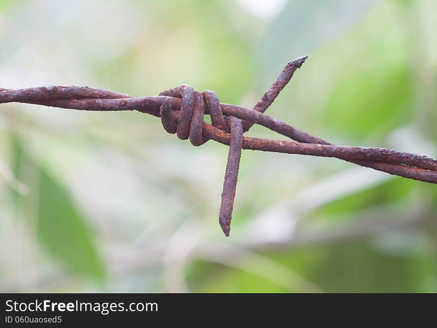 Old rusty barb wire with green blur background