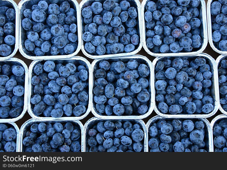 Blue berries at the market in Antwerp.