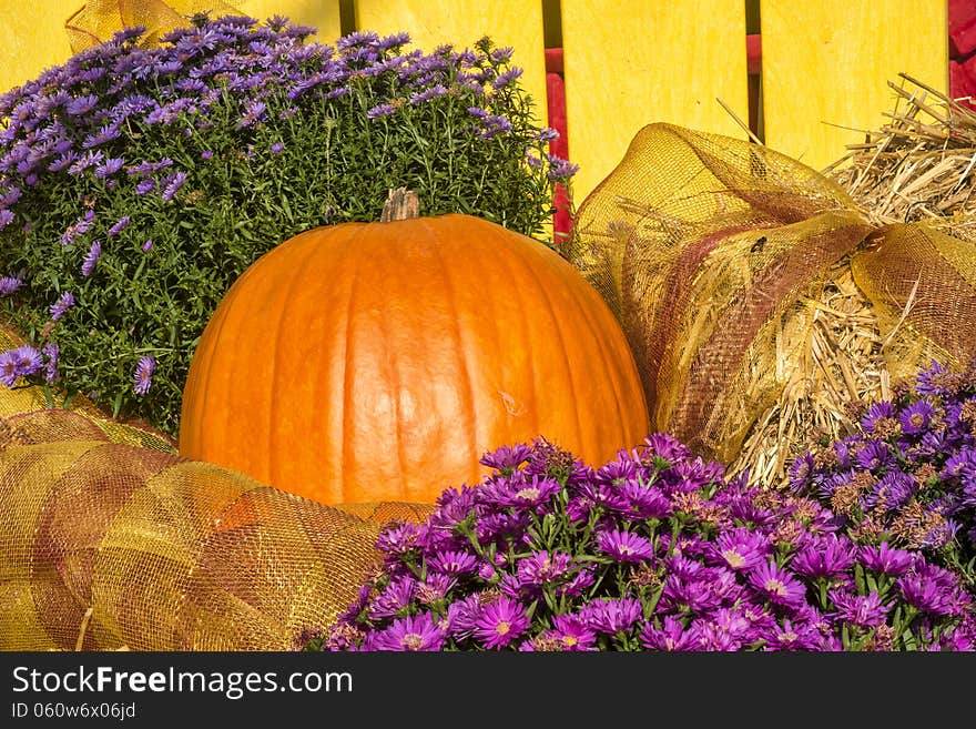 Pumpkin and flowers on a nice sunny day