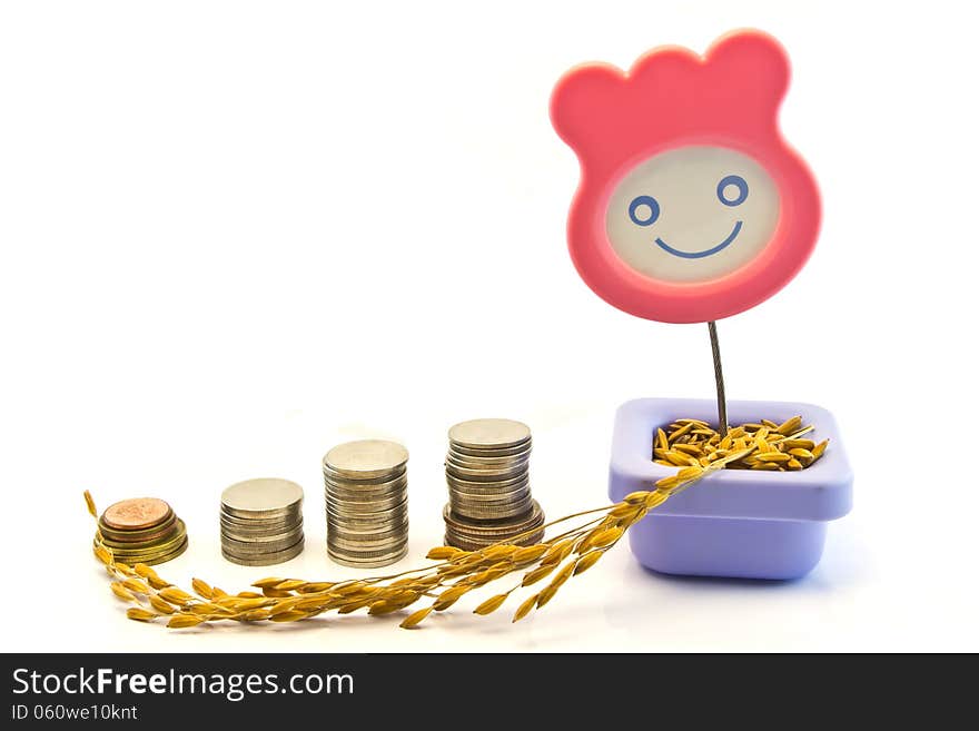 Paddy in smile pot and row Coins isolated on white concept. Paddy in smile pot and row Coins isolated on white concept.