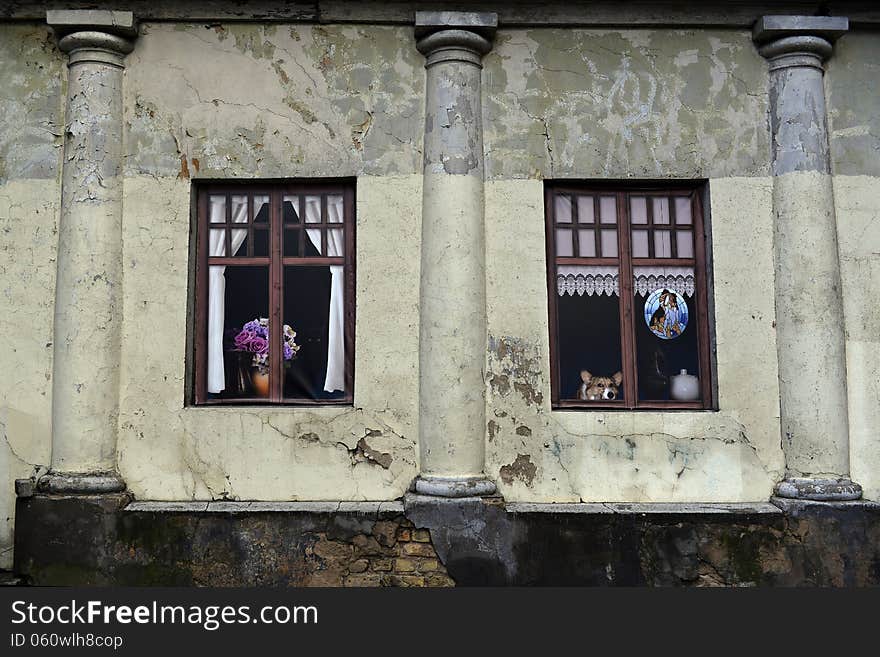 Windows Of The Old House