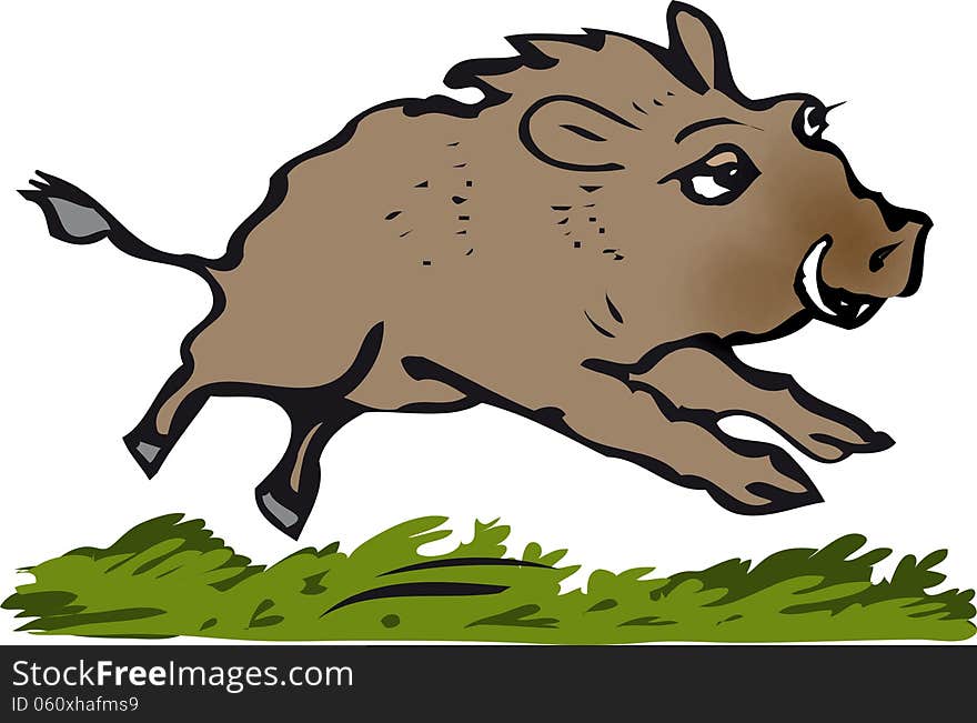 Wild boar running in undergrowth