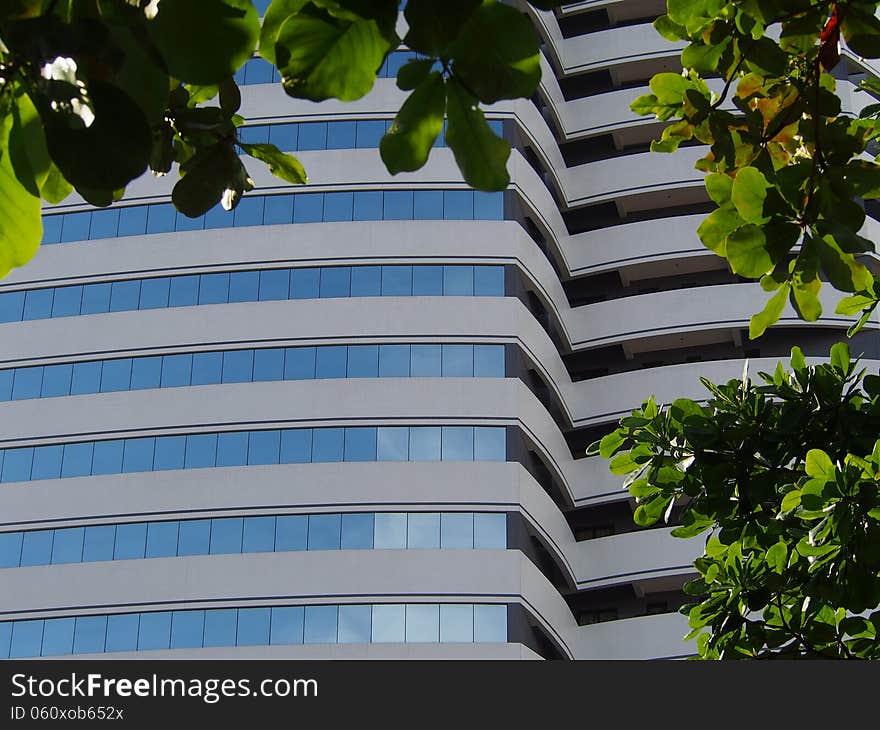 Modern office building in Brazil in closed from long focal lens perspective, with leaves in frame.