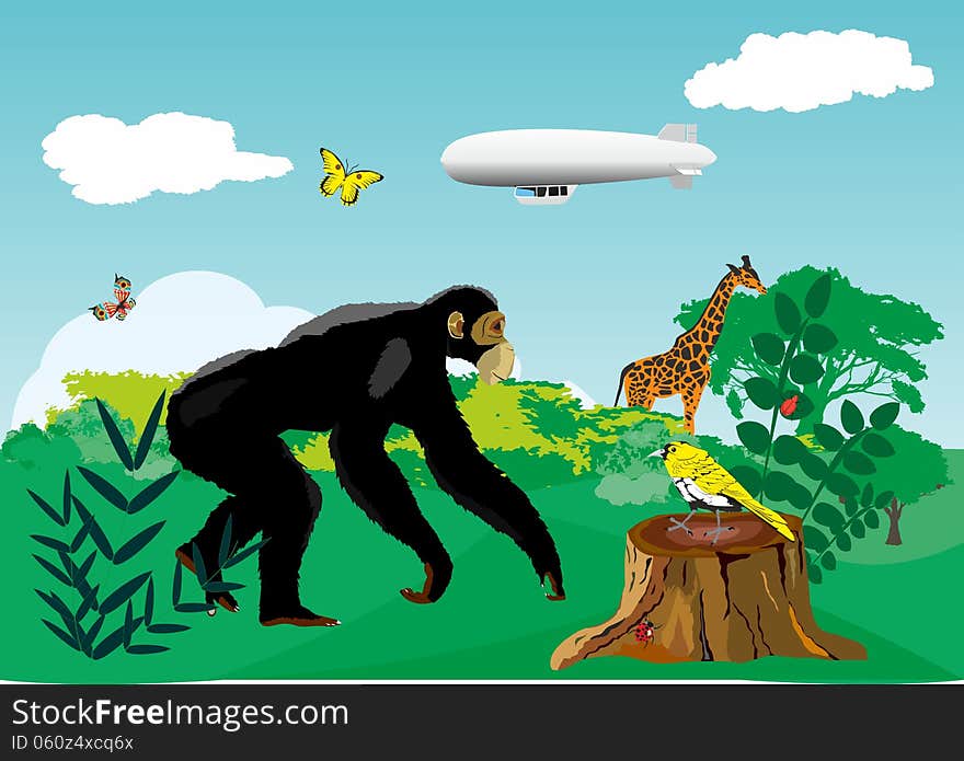 Vector illustration of monkey in jungle. Vector illustration of monkey in jungle