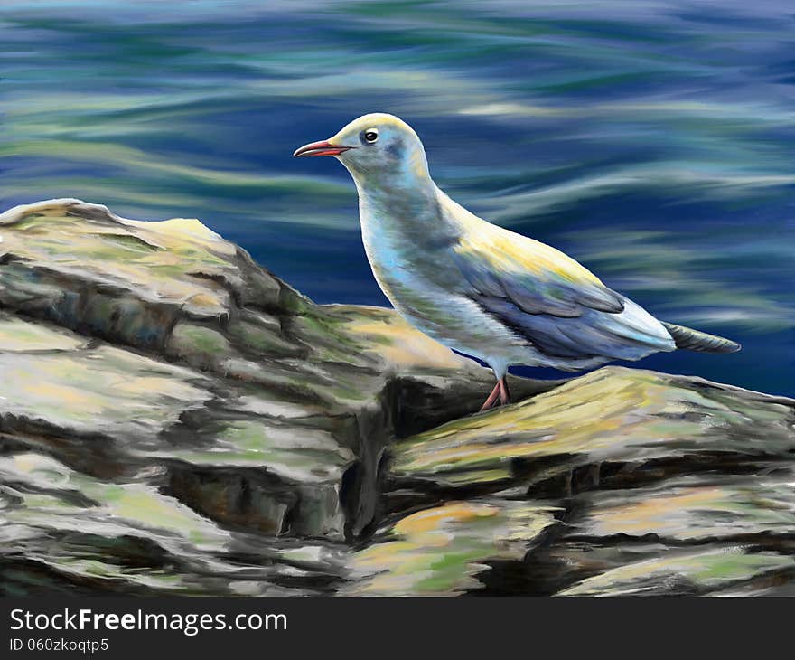 Seagull resting on some rocks near to the sea. Digital illustration.