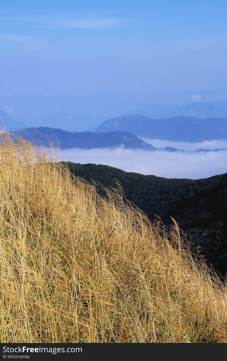 Alpine nature