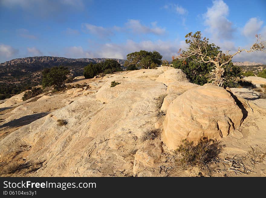 Dana: very nice place south of Jordan, with beautiful nature and a varied climate, the rocks There carved naturally.