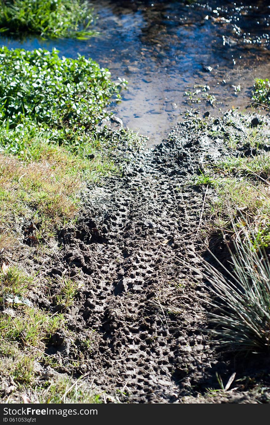 Bike traces in the mud by the mountain spring