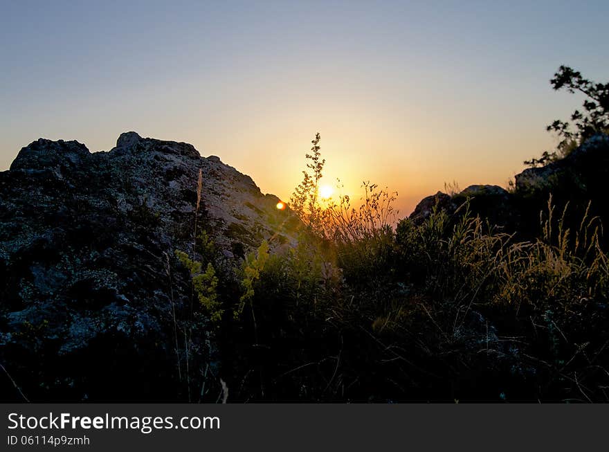 Sunrise Silhouetting Plant and Grasses near Elbrus Mountains Outdoors. Sunrise Silhouetting Plant and Grasses near Elbrus Mountains Outdoors