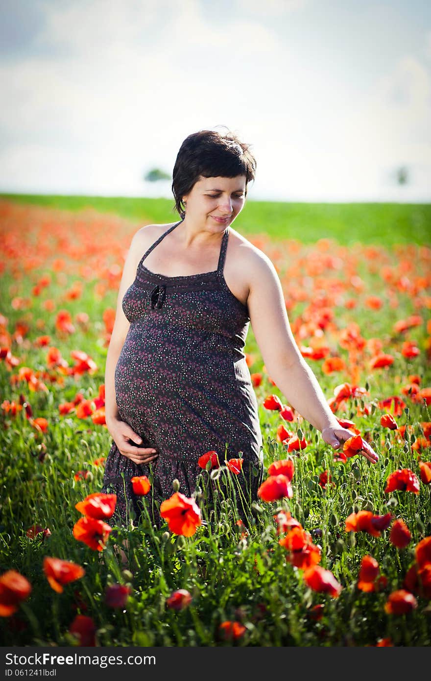 Pregnant Happy Woman In A Flowering Poppy Field