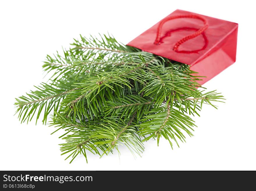 Fir-tree twigs in red paper-bag isolated on white background