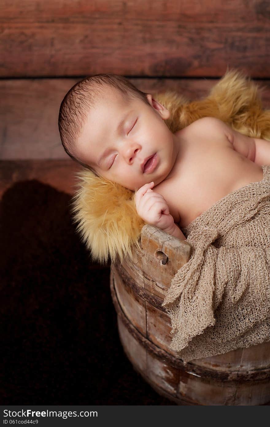 Newborn Baby Boy Sleeping in an Antique Bucket