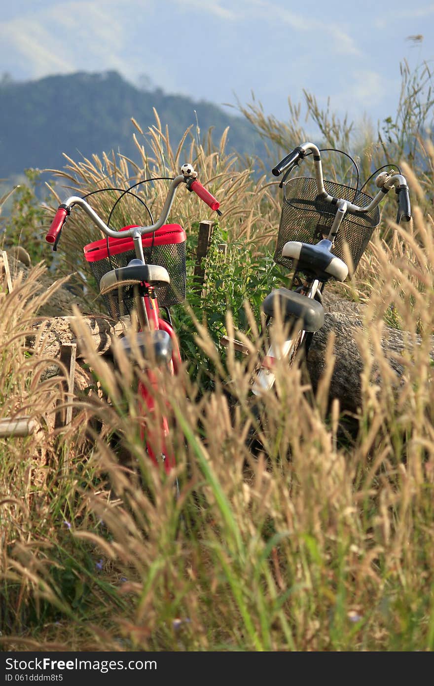 Red bicycles still in flower of the grass.