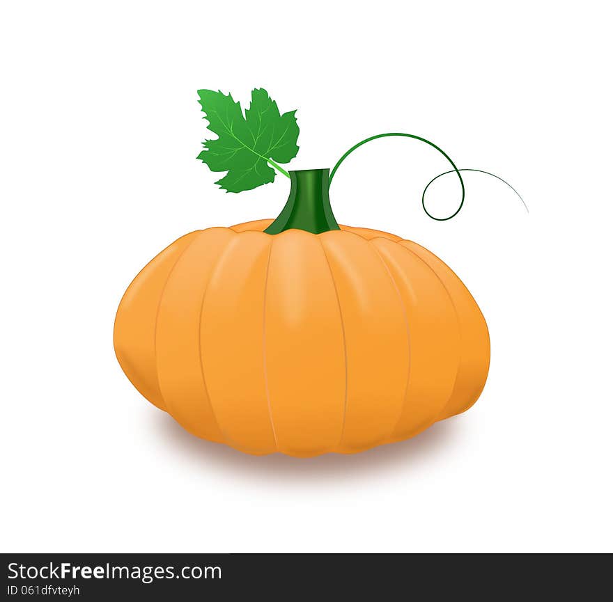 Pumpkin with leaf and curl