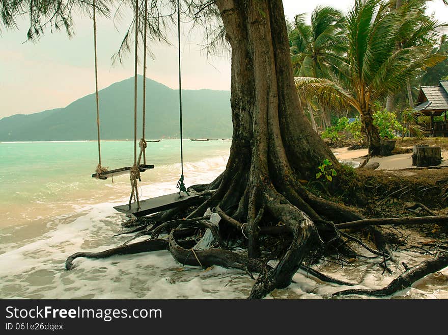 Teeterboard hanging on a tree on Thai beach. Teeterboard hanging on a tree on Thai beach