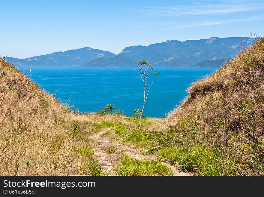 Grass field with an ocean and an island in the horizon.