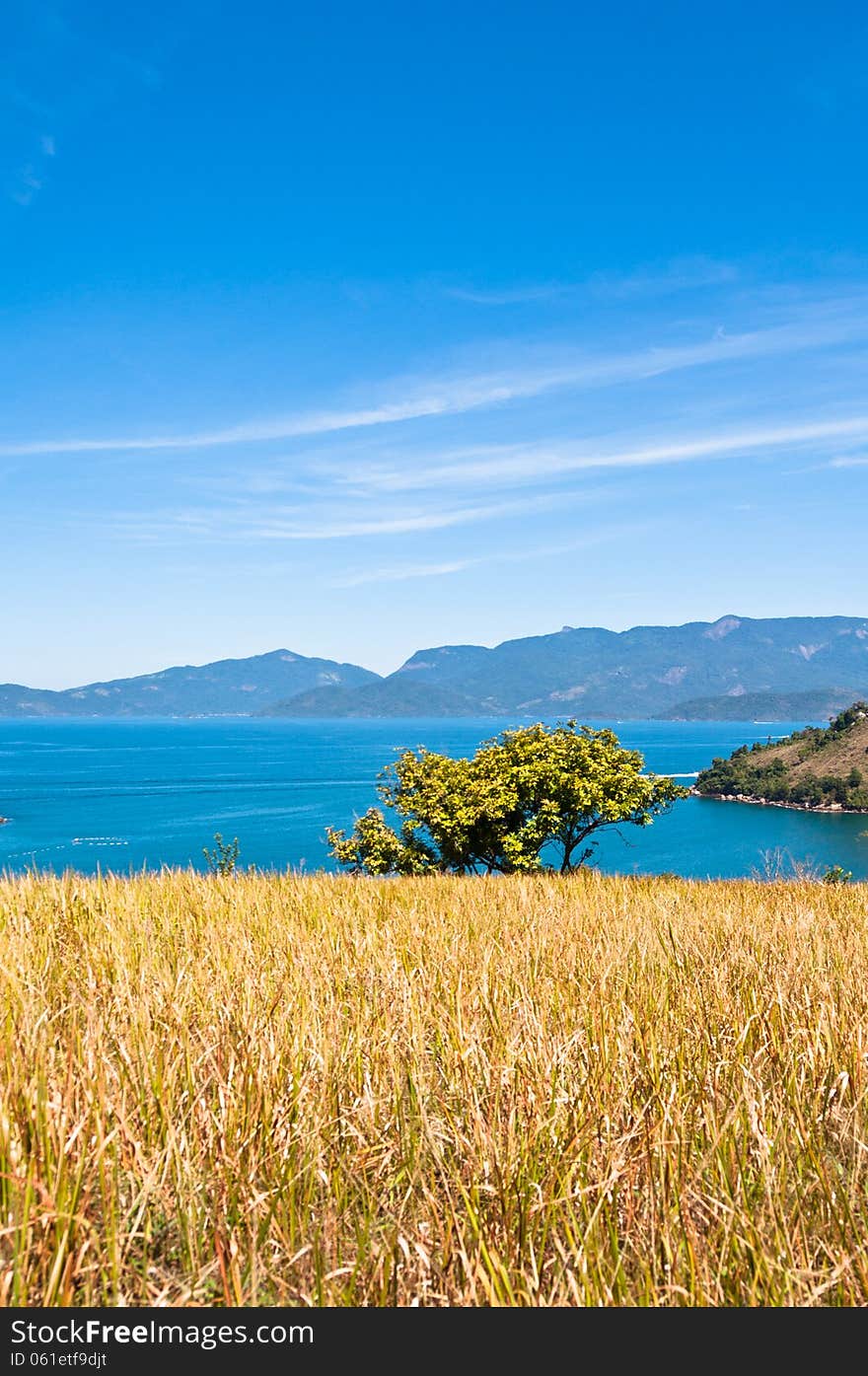 Grass field with an ocean and an island in the horizon.